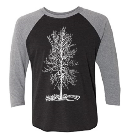 Solitude Bare Tree Unisex 3/4 Sleeve Baseball Tee