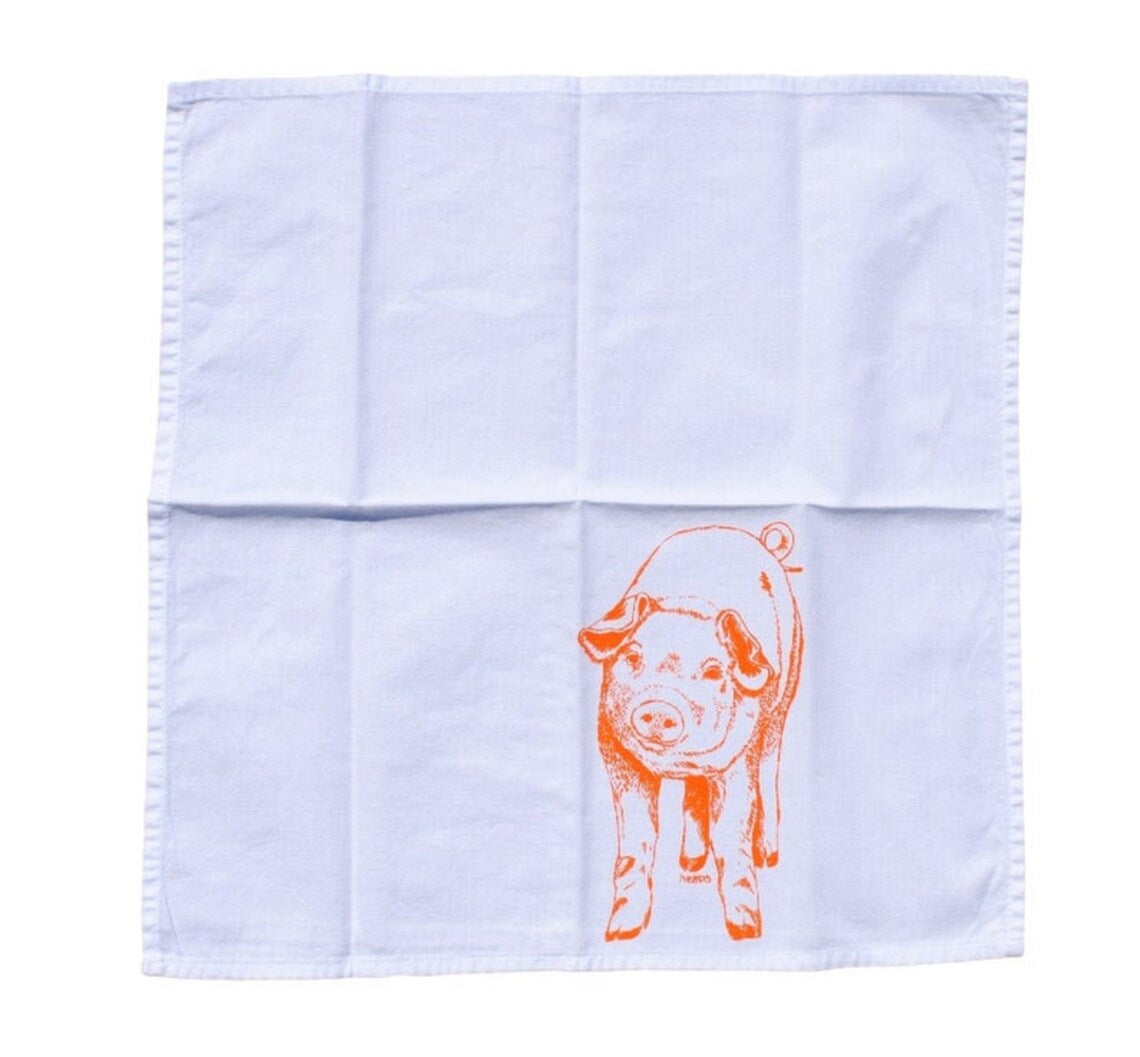 Set of 4 Farm Animal Napkins Bright