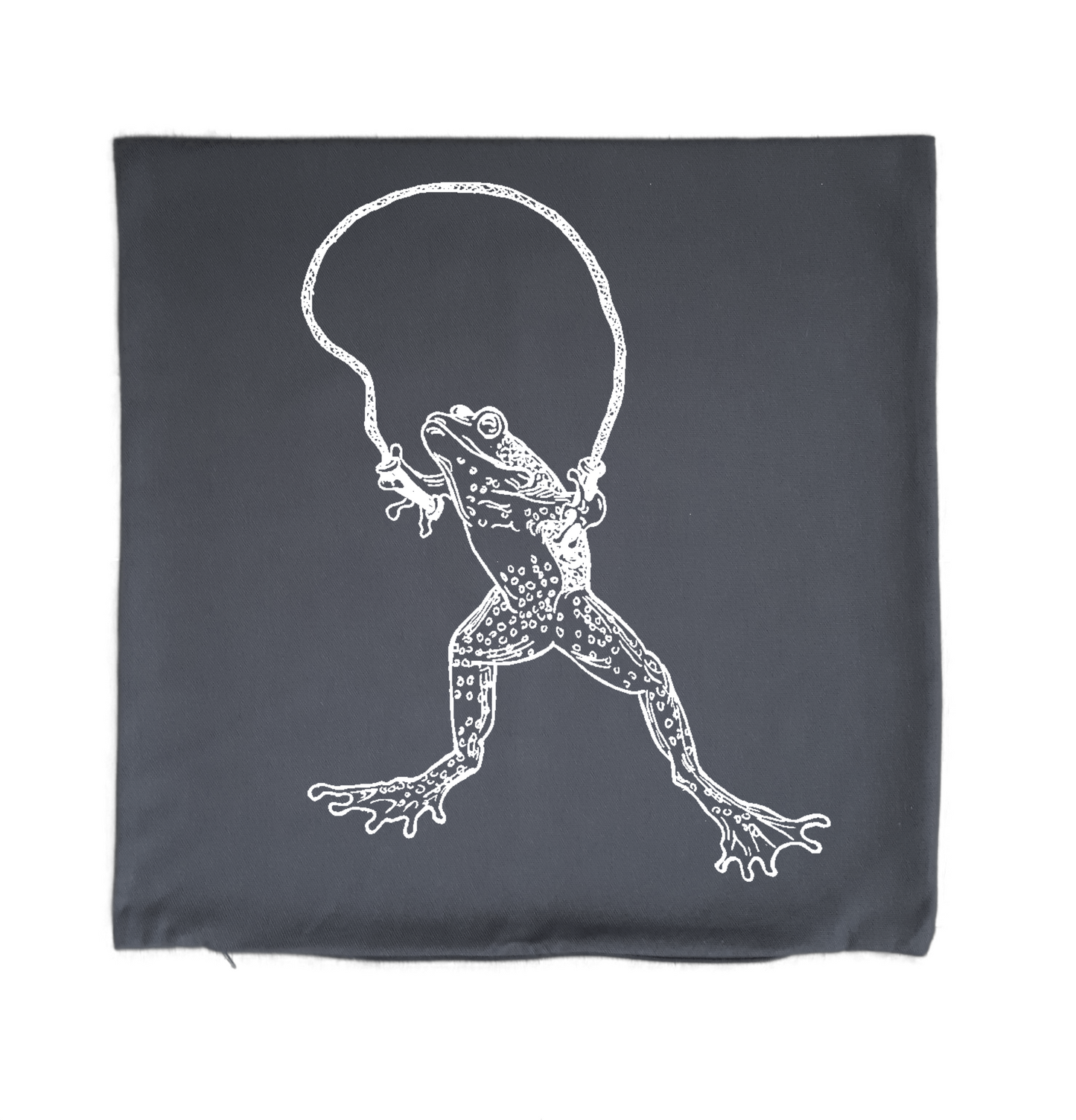 Leaping Frog 20 x 20 Cushion Cover